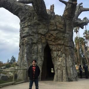 Meet your Posher, Luis